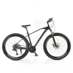 GORTAT 29 inch Mountain Bike Aluminum Alloy Bicycle mtb ultralight road bike Variable Speed Dual Disc Brakes Bicycle
